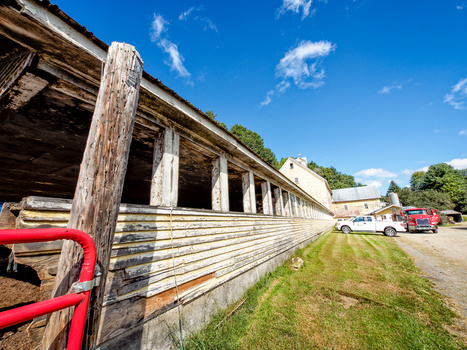Weathered wooden livestock barn with red metal gate and vehicles parked alongside under clear blue sky.
