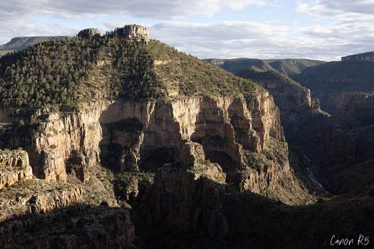 Layered canyon walls with forested ridges and deep shadowed ravines beneath partly cloudy sky.