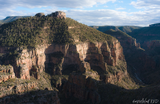 Dramatically layered sandstone cliffs with forested ridges and deep canyons under partly cloudy skies.