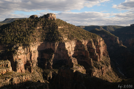 Massive layered sandstone cliffs with dense forest coverage on ridgetop plateau formation.