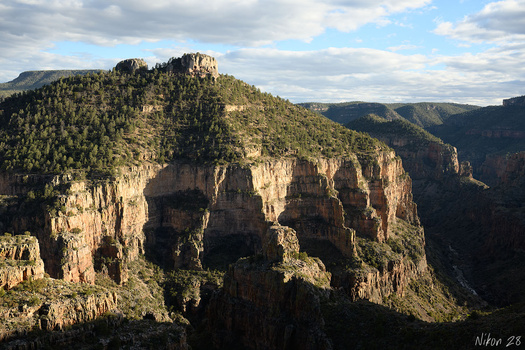 Dramatic canyon landscape with layered sandstone cliffs and dense coniferous forest under partly cloudy sky.