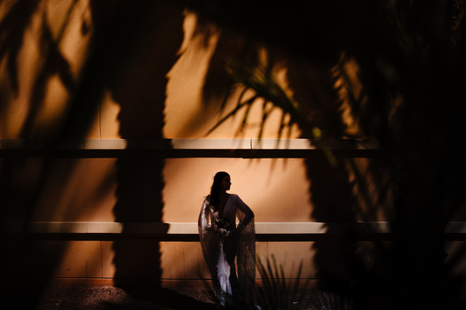 Silhouetted figure standing center stage beneath dramatic overhead lighting with palm fronds framing foreground.