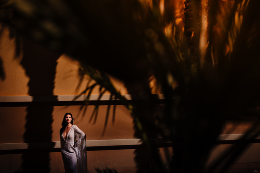 Woman standing in warm golden light with dramatic palm tree shadows cast across a textured wall behind her.