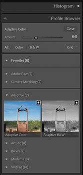 Screenshot of Adobe Lightroom's Profile Browser panel showing adaptive color presets and before/after comparison of architectural photography.
