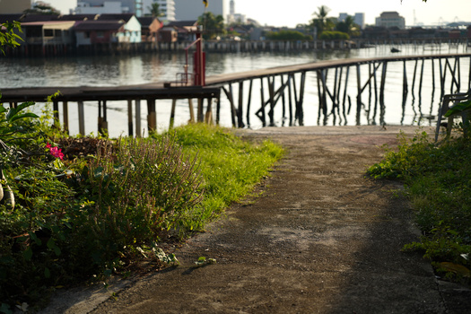 Waterfront path with flowering shrubs leading toward a wooden pier and still water with buildings across the way.