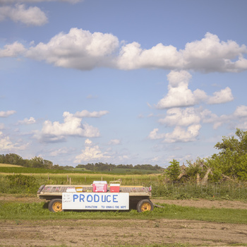 Wooden produce stand with white signage in a flat agricultural field under partly cloudy sky.