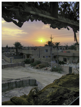 Sunset over a Middle Eastern residential neighborhood framed by tree branches in foreground.