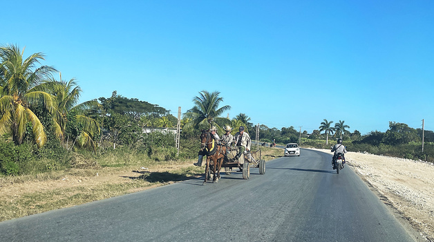 Horse-drawn cart on a rural paved road with palm trees and scattered vehicles under clear blue sky.