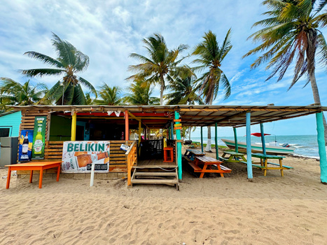 Colorful beach bar with wooden structure and palm trees under bright daylight.