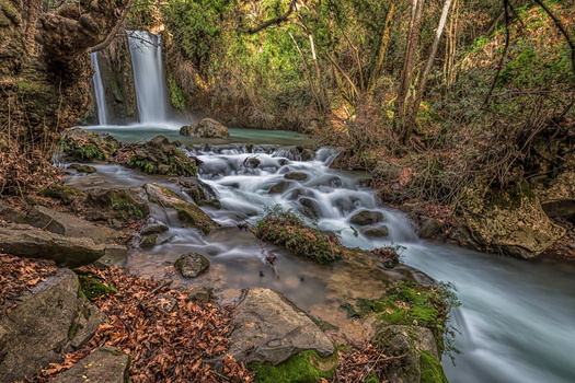 Cascading waterfall flowing through moss-covered rocks and fallen leaves in a forested creek.