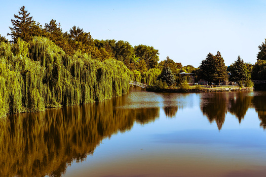 Serene lake with weeping willow trees reflecting in still water under clear sky.