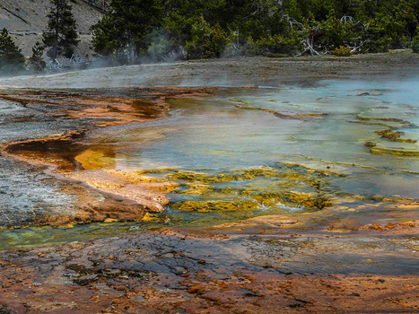 Geothermal hot spring with vibrant mineral deposits in blue, orange, and yellow hues, surrounded by forest.