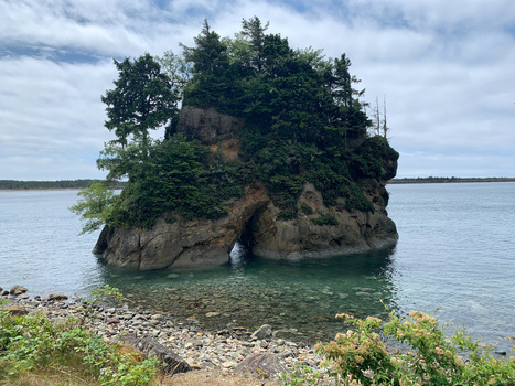 Rocky island covered in dense green vegetation surrounded by turquoise water and pebble beach.