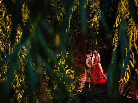 Couple in formal attire embracing in a corn field at golden hour, framed by dried corn stalks.