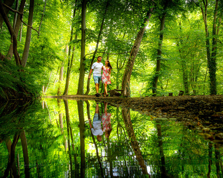 Two people standing on a wooden bridge in a dense green forest, with their reflections visible in still water below.