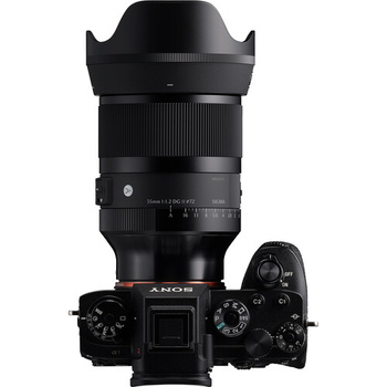 Sony Alpha mirrorless camera with Sigma Art lens and lens hood attached.