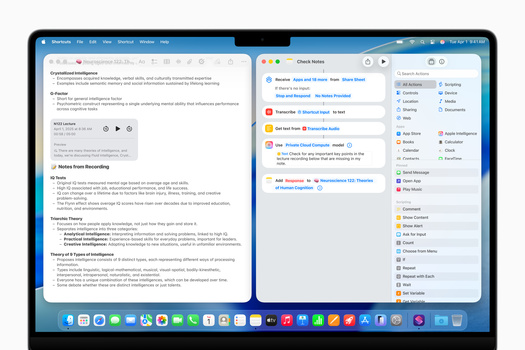 Screenshot of a Mac desktop displaying a note-taking application with multiple windows open side-by-side.