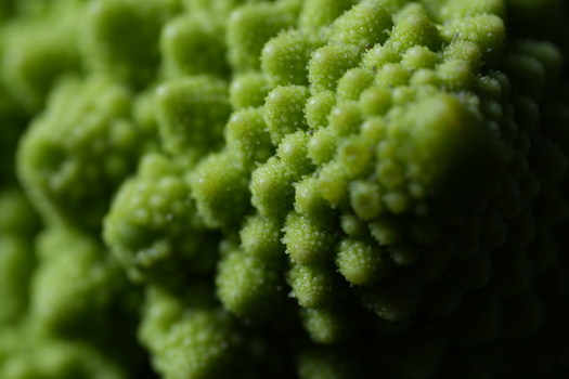 Extreme close-up of bright green romanesco or similar fractured vegetable florets with textured, bumpy surfaces.