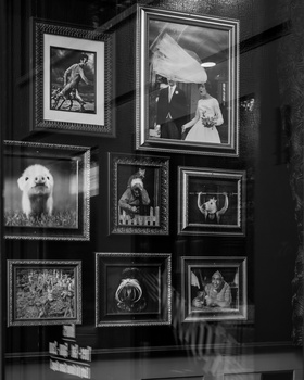Black and white gallery wall with nine framed photographs arranged in a grid pattern on dark paneling.