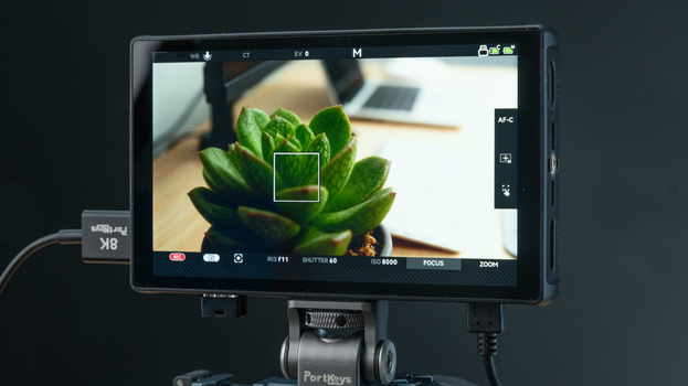 External monitor displaying live camera feed of a succulent plant with focus peaking overlay.