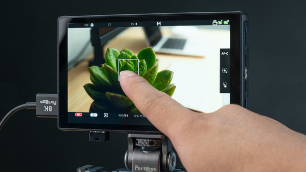 Hand touching a succulent plant on a camera's touchscreen display during live view shooting.