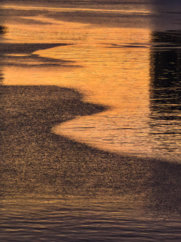 Golden light reflecting off wet sand and shallow water at shoreline during sunset or sunrise.