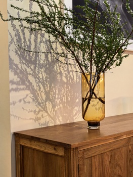 Amber glass vase with delicate branches casting intricate shadows on a cream wall.
