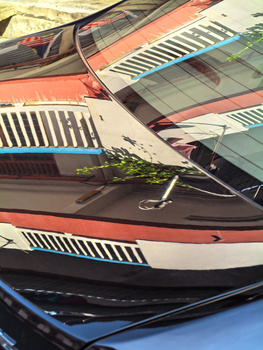 Stacked colorful windsurfing boards with striped patterns and a small green plant growing from one board.