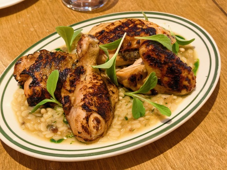 Charred chicken legs plated on creamy risotto with green microgreens garnish.