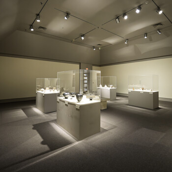 Museum display room with illuminated glass cases arranged in a grid pattern, featuring track lighting overhead and neutral walls.