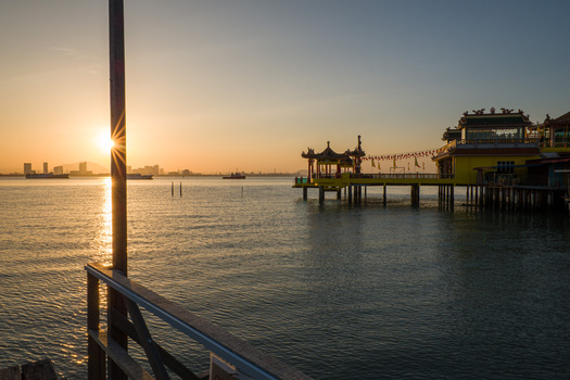 Wooden pier pilings silhouetted against golden sunrise over calm bay water with distant cityscape.