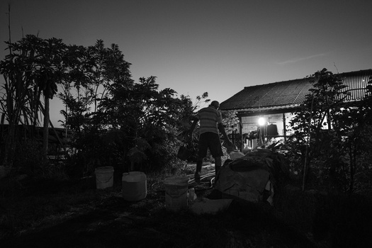Silhouetted figure standing in a garden at dusk beside a illuminated residential building.