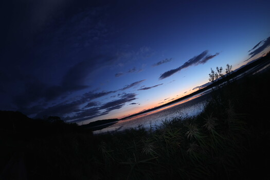 Twilight landscape with silhouetted vegetation overlooking a calm body of water under a deepening blue sky.