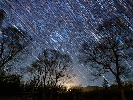 Star trail photograph showing concentric circular light streaks across a night sky above bare trees silhouetted against the horizon.