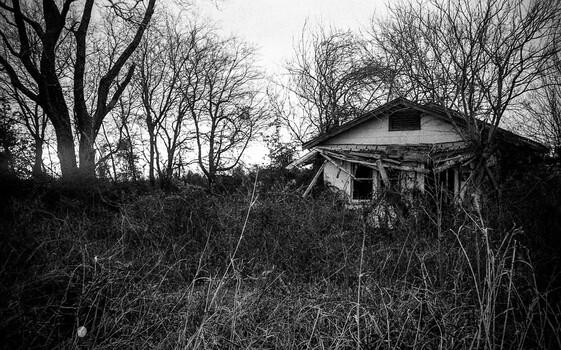Abandoned house surrounded by overgrown vegetation and bare trees in black and white.