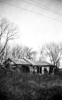 Abandoned single-story house surrounded by bare trees and overgrown vegetation in black and white.