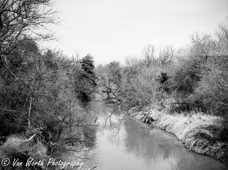 Bare winter trees line a winding stream reflecting gray sky in black and white photography.