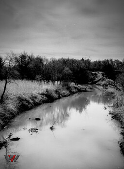 Bare trees line a still river under overcast sky in monochromatic landscape.