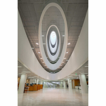 Concentric oval architectural ceiling with recessed lighting and central skylight in modern interior space.