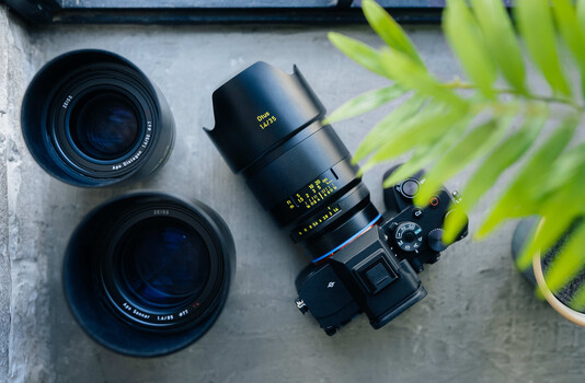 Collection of camera lenses and a mirrorless camera body arranged on concrete with green plant foliage.