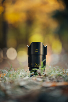 Wide-angle lens positioned on mossy ground with golden bokeh background.