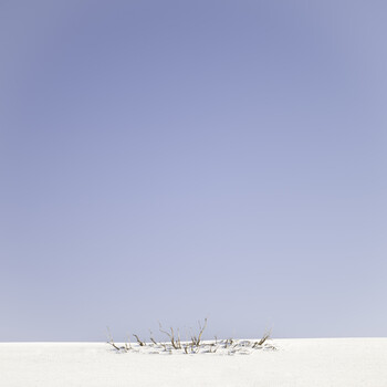 Sparse dried branches lying on white sand against a clear blue sky.