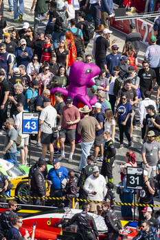 Fans gathered in pit lane before the start of the 2026 Rolex 24 at Daytona