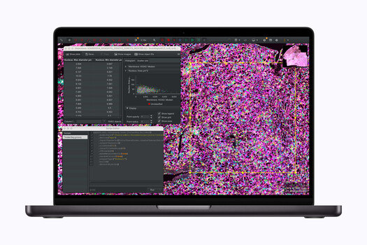 Screenshot of a laptop displaying data analysis software with colorful scatter plot visualization and code windows.