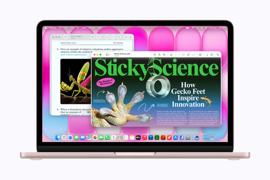 Screenshot of MacBook display showing Sticky Science magazine layout with gecko feet imagery and article design.