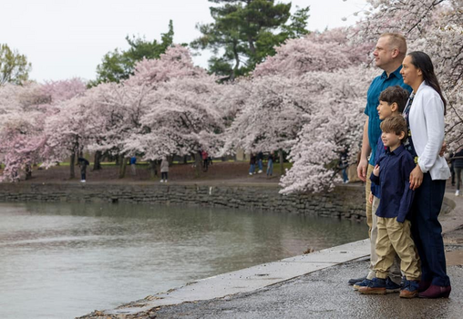 Family of four standing by a water's edge with blooming cherry blossom trees in the background.