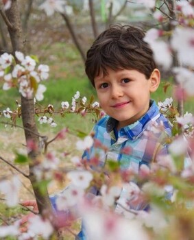 Young child smiling among blooming spring flowers on tree branches.