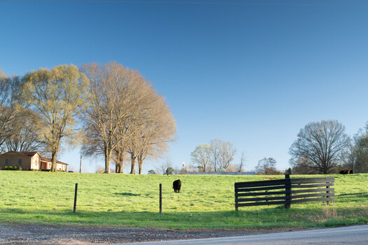 Rural pasture with bare and golden trees, wooden fence, grazing horse, and red barn in distance under clear blue sky.