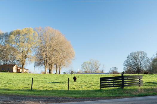 Rural pasture with wooden gate, grazing horse, bare trees, and farm buildings under clear blue sky.