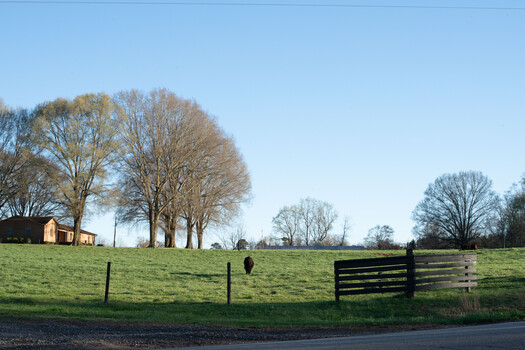 Rural landscape with bare winter trees, green pasture, wooden fence, and distant barn under clear blue sky.